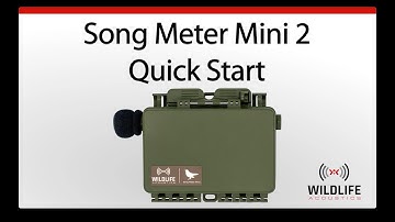 Song Meter Mini 2 Quick Start