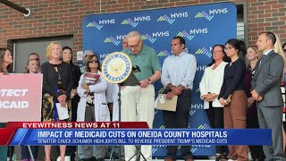Schumer Protests Trump's Cuts To Medicaid