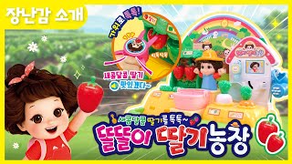 🍓똘똘이 딸기농장🍓우당탕탕 똘똘이랑 즐거운 딸기농장 놀이해요!
