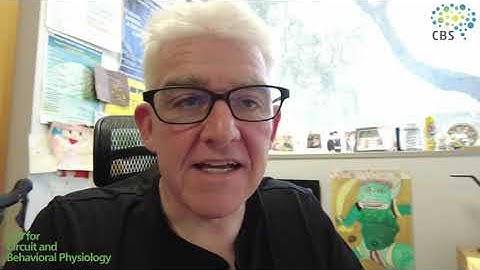 連携大学院HP_McHugh Lab