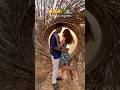 Goa diaries #Goa #Club #Nightlife #Youtubeshorts #Viral #beachvibes #Trending