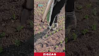 Efficient Manual Transplanter Tool for Planting and Farming in Open Field Rows