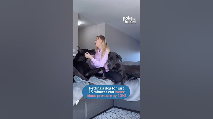 Embrace the joy and love that pet companionship brings into your life.