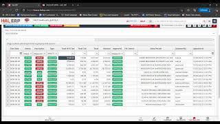HAL ERP - Sales Invoice Return / Reversal