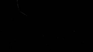 X. Fuscus Arapaçu-Rajado