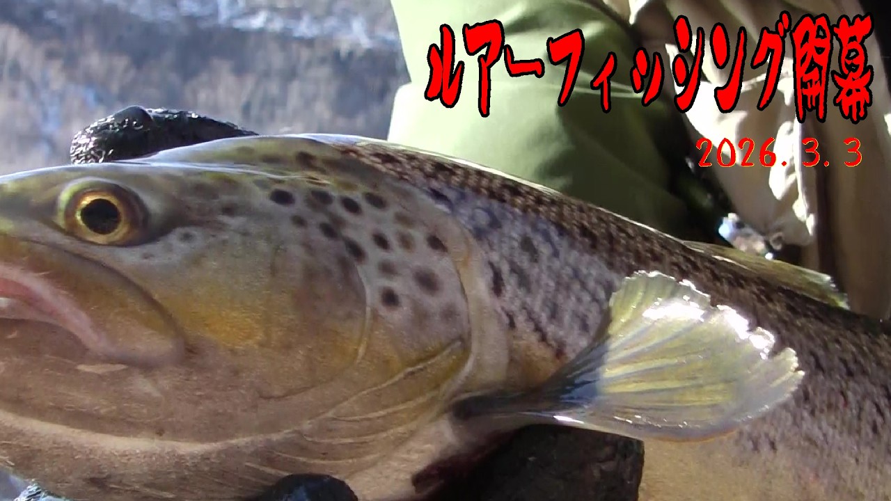 2026.3.3　【2026年 北海道湖のルアーフィッシング開幕です】　フライフィッシング、ルアーフィッシング、氷上釣りが楽しめる特別な季節（阿寒湖の氷上釣り・糠平湖の氷上釣り・金山湖の氷上釣り）