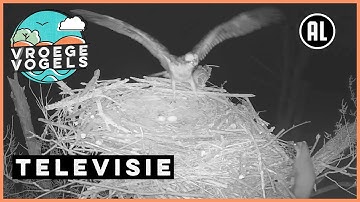 Beleef de Lente #6 | TV | Vroege Vogels
