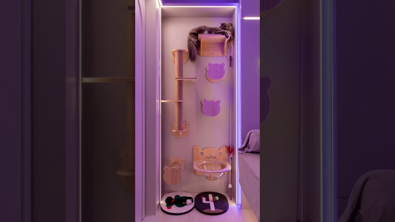 Watch our designer transformed a cluttered, messy bedroom into a sleek, modern, futuristic retreat!