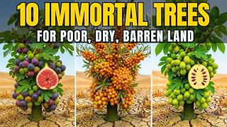 10 Fruit Trees That Grow In Bad Soil (That Nobody Plants)
