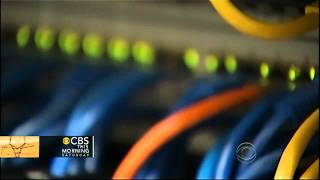 Anonymous strikes again Net Worth