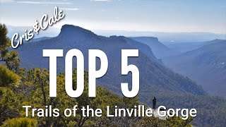 Top 5 Trails of the Linville Gorge | Best Hiking in North Carolina | Pinchin | Hawksbill | Shortoff