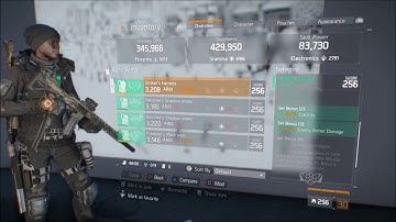 The Division - 1.5 AMAZING Damage Striker/Predator Build!!!