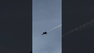 IMG 0671