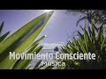 Mix La Isla/ CHILL CUMBIA AMBIENTAL/ Movimiento Consciente Musica