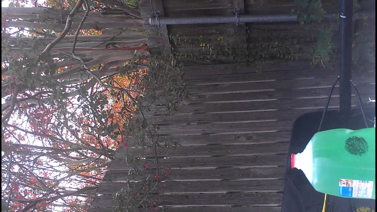 Grim reaper broadhead test YouTube