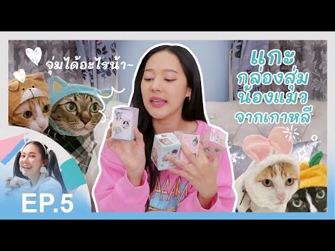 ผลสลากกินแบ่งรัฐบาล วันที่ 1 พย. 2567 ผลสลากกินแบ่งรัฐบาล วันที่ 1 พย. 2567