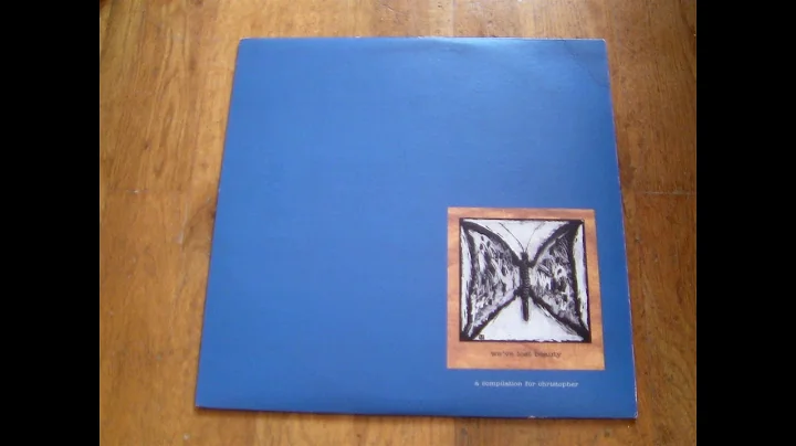 Various - We've Lost Beauty: A Compilation For Chr...