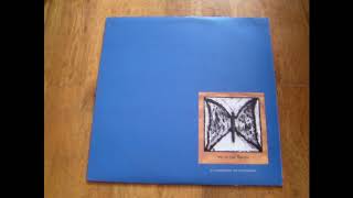 Various - We've Lost Beauty: A Compilation For Christopher Horne