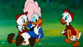 Uncle Donald's Crazy Classic Collection - Disney Fun with Huey, Dewey & Louie!