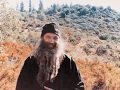 Father Seraphim Rose