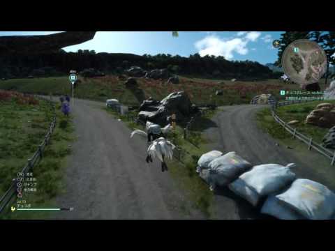 【FFXV】チョコボレース攻略5 みんなでレース‼︎ 攻略 FINAL FANTASY XV #ff15