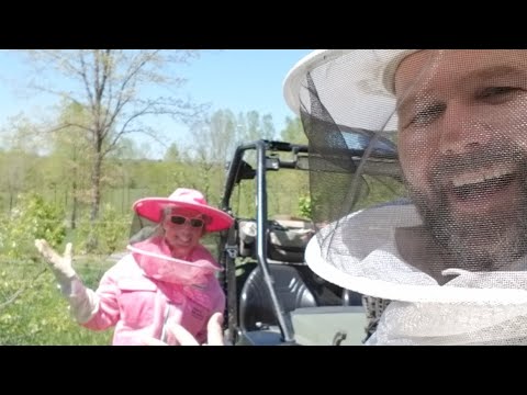 crazy-neighbor-update-....-honey-bee-mega-swarm!