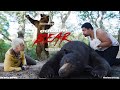 Cocaine Bear Full Movie 2023 Watch Now Breakdown Dark Comedy HD Review Facts 