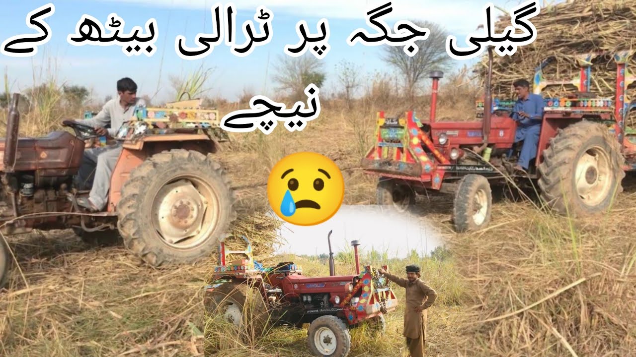 How did the driver get out? 😡