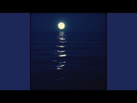 The Moonlight Paints