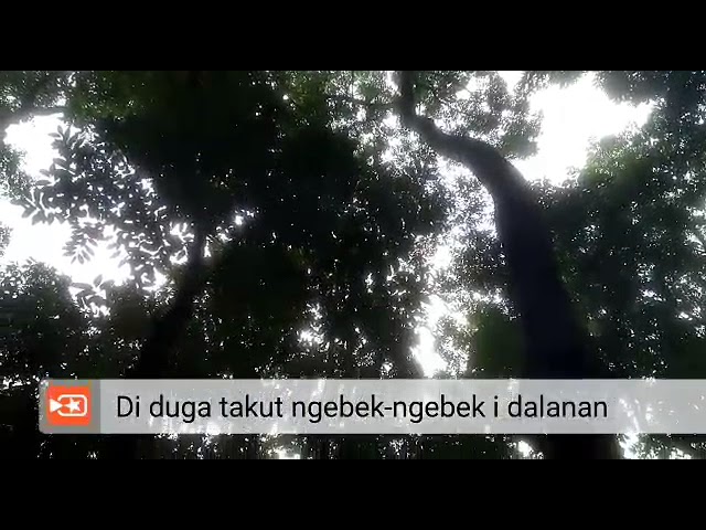 VIRAL, pemuda ini hidup sendiri bertahun tahun dihutan class=