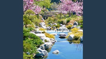 Sublime Backdrops for Good Chances