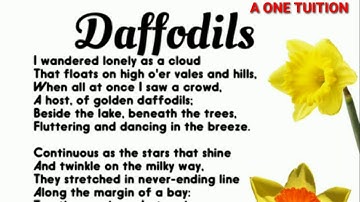 daffodils class 11 Alternative English (ASHEC) summary in hindi #aonetuition #daffodils