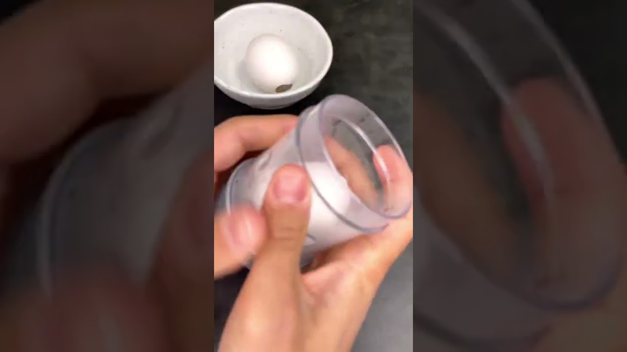 Testing Out a Boiled Egg Peeler - Day 24