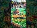 みなさんに10000エメをプレゼント🎁 #shorts #ブロスタ