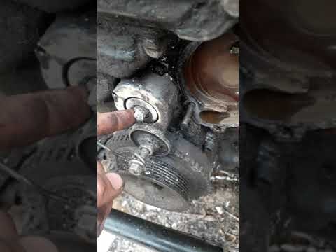 Видео на YouTube