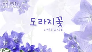 도라지꽃 (박은주 작사/ 석광희 작곡) #도라지꽃 #도라지 #꽃 #보라색