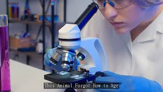 The Naked Mole Rat That Basically Cracked the Code on Aging