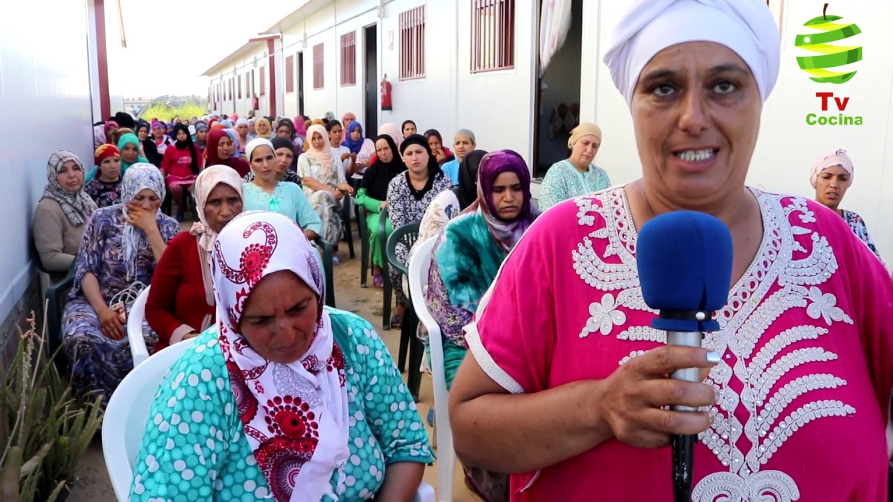 نداء عاجل من عاملات حقول الفرولة باسبانيا الى رئيس الحكومة المغربية وصاحب الجلالة بفتح الحدود