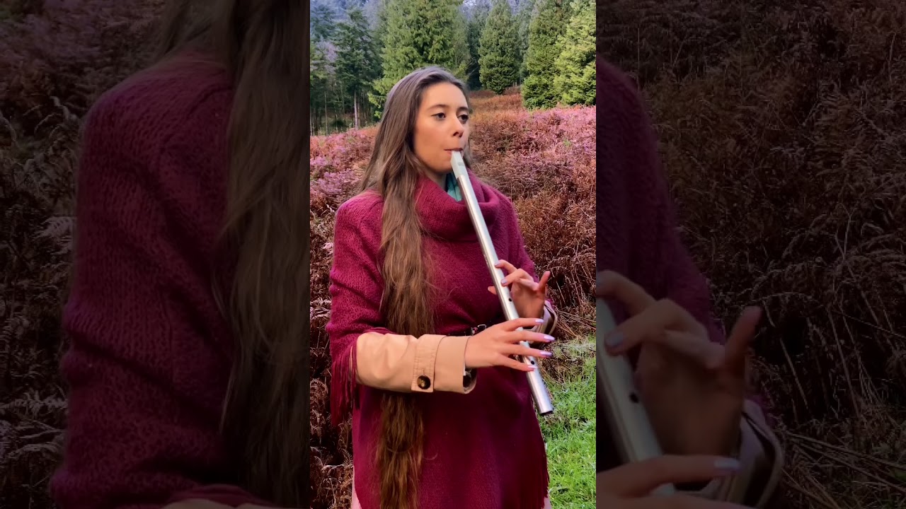 ‘Zelda’s Lullaby’ played on the low D whistle 🎶✨ 