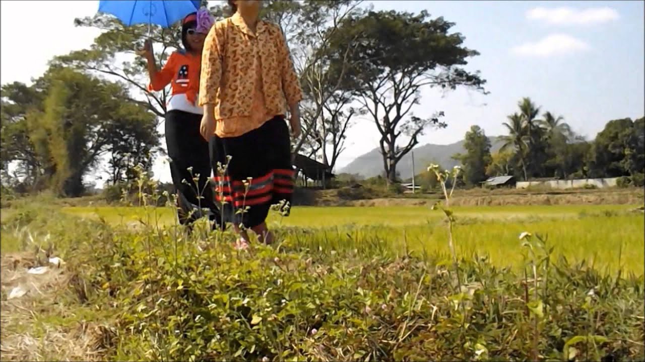 เพลงดาวมหาลัย 501 โรงเรียนวิไลเกียรติอุปถัมภ์