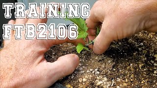 FastBuds Tester FBT2106 Training (Part 1)