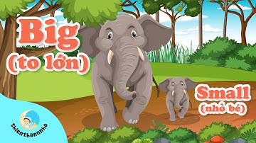 Tổng hợp cặp từ đối lập, cặp từ trái nghĩa bằng tiếng anh - Tiếng Việt l Bé học tiếng anh