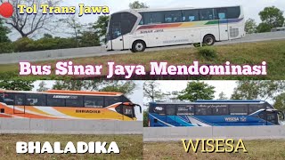 Bus2 Tol Trans Jawa‼️Bus Sinar Jaya Mendominasi‼️