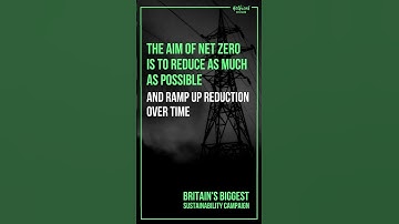 What is Net Zero for?