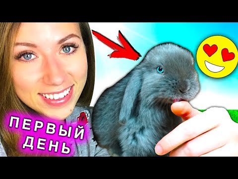 ПЕРВЫЙ ДЕНЬ ДОМА НОВЫЙ ПИТОМЕЦ КРОЛИК ЛИЗУН ЭЛЛИ ДИ | Elli Di Pets