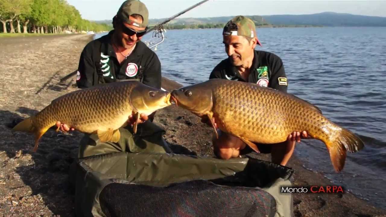 Carp Adventure - Bolsena Lake