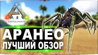 картинка: Аранео (Araneo)  в АРК. Лучший обзор: легкое приручение и способности пауков в ark