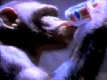 Pepsi commercial  1994