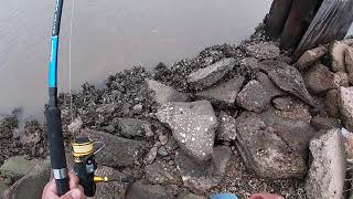 Fishing the Intercoastal Waterways  in Freeport , Tx