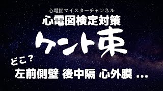 【心電図検定対策】ケント束の起源をマスターする！